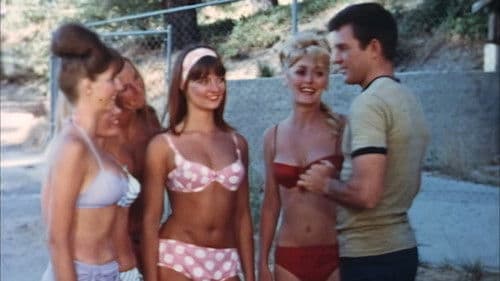 A Swingin' Summer Bild 5