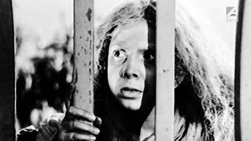 ডাইনী Bild 2