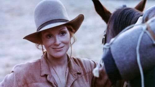 Jessi's Girls Bild 2