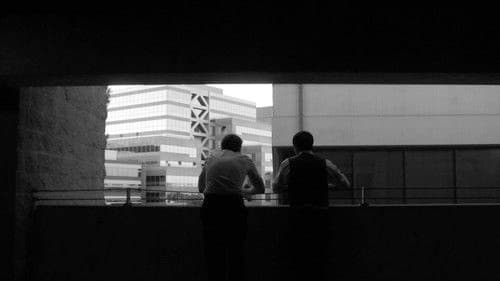 Two Forty-Six Bild 3