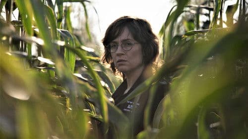 כביש הסרגל Bild 2