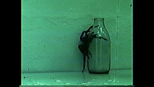 Morning Deliveries Bild 7