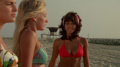 The Roommates Bild 2