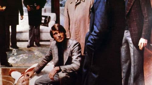 Die Polizei klagt an - der Geheimdienst tötet Bild 2