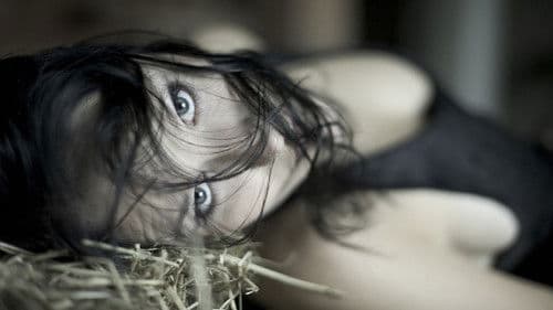 Tristania: Widow's Tour Bild 1