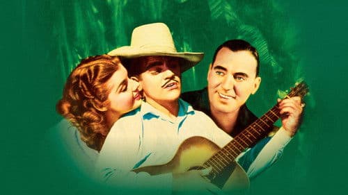 Tropische Zone Bild 3