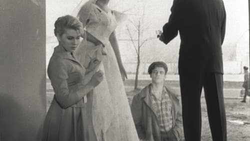 Die Steinblume Bild 8