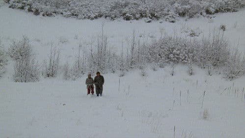 Chilly Scenes of Winter Bild 8