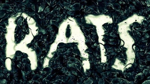 Rats Bild 1