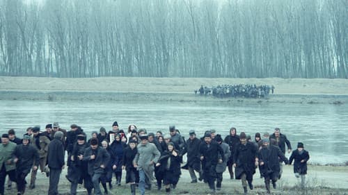 Der schwebende Schritt des Storches Bild 3