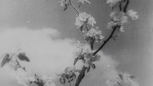 Бежин луг Bild 3