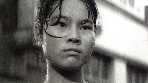 Schweine, Geishas und Matrosen Bild 5