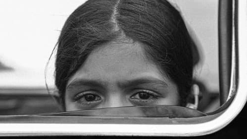 ராக்கி Bild 2