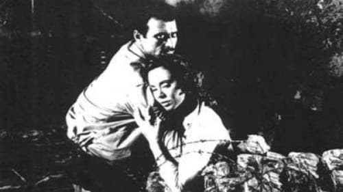 ميلة (Djamilah) Bild 2