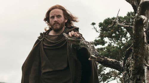 In den Fängen der Wikinger Bild 3