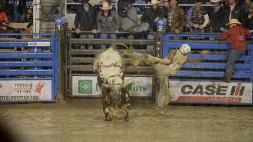 Rodéo Québec Bild 2