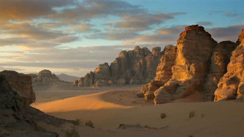 Wild Arabia Bild 4