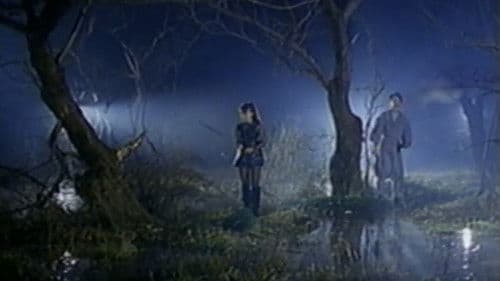 ザ・忍者ウォリア－ズ　くノ一戦士 Bild 3