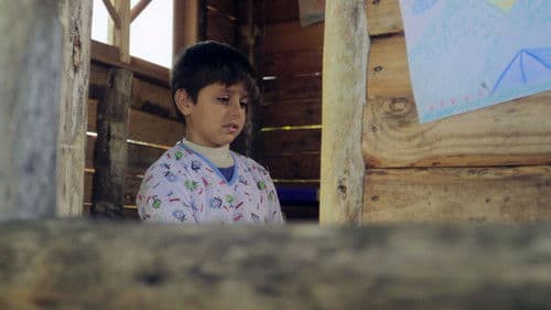 Querida Alice Bild 1