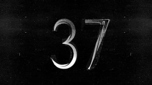 37 Bild 1