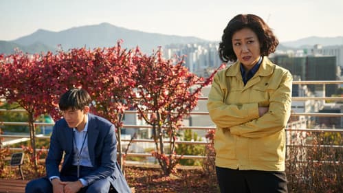 정직한 후보 2 Bild 2