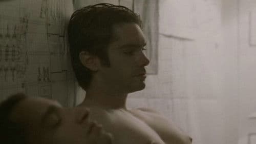 Boys Briefs 4 Bild 2