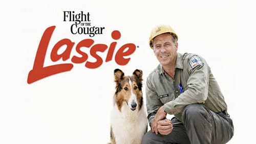 Lassie geht eigene Wege Bild 3