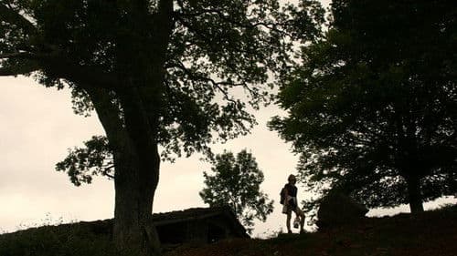 Hitzordu Tokiak Bild 1