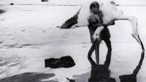 Junge Aphroditen Bild 2