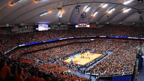 Finally Orange Bild 1