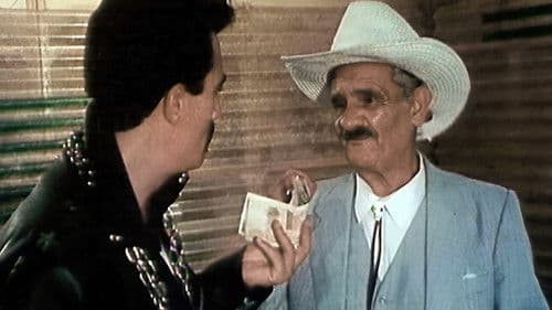 De Hollywood à Tamanrasset Bild 1