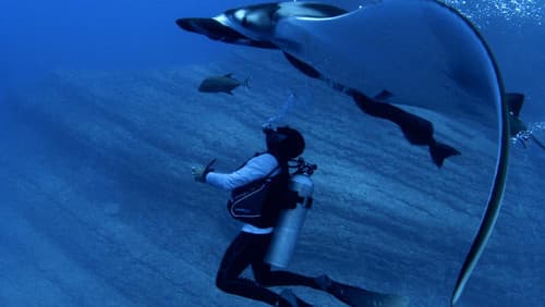 Alien Contact Bild 1