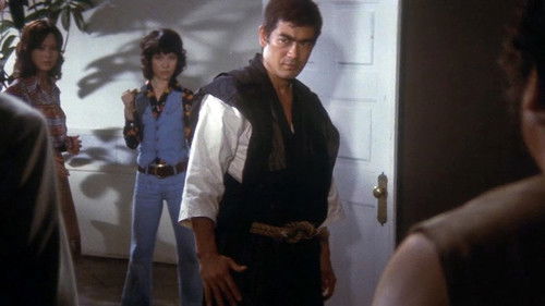 Die Karate-Tiger Bild 1