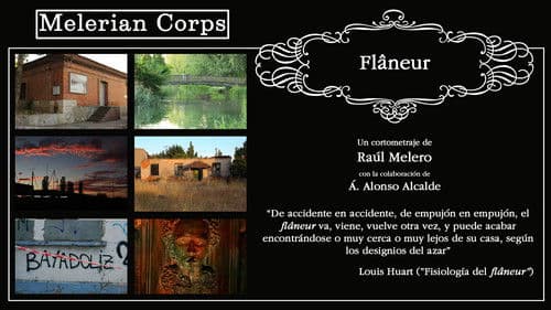 Flâneur (El paseador) Bild 1