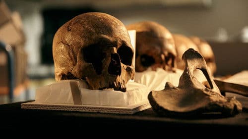 Das älteste Schlachtfeld Europas Bild 1