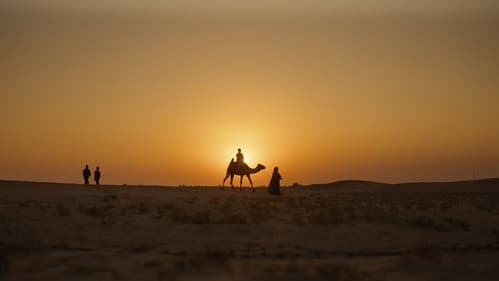 Притворись моим мужем Bild 5