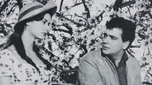 Αμαρυλλίς Bild 1