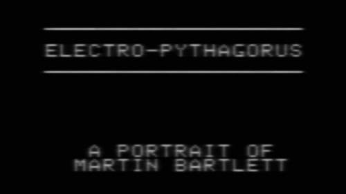 Electro-Pythagorus: A Portrait of Martin Bartlett Bild 1