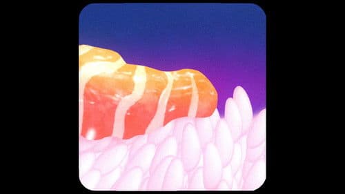 セクシーな寿司 Bild 1