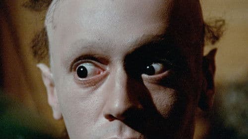 Blue Sunshine Bild 5