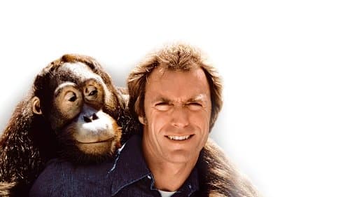 Mit Vollgas nach San Fernando Bild 3