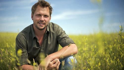 Jimmy's Global Harvest Bild 1