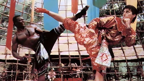 Karate Tiger 5 - König der Kickboxer Bild 5