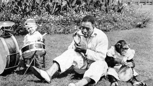 Who's Who in the Zoo Bild 1