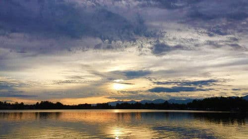 Wild Alaska Live Bild 1