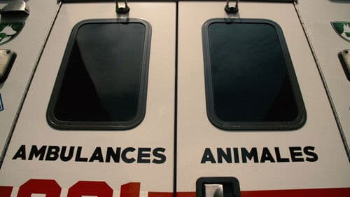 Ambulances animales Bild 1