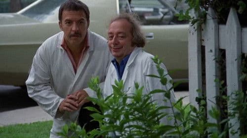 O.K.... Laliberté Bild 1