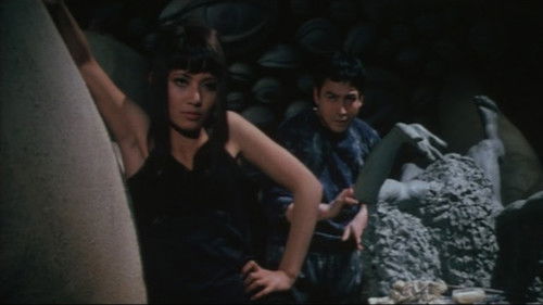 Die blinde Bestie Bild 6