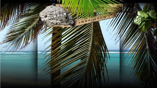 Expeditie Robinson Bild 1