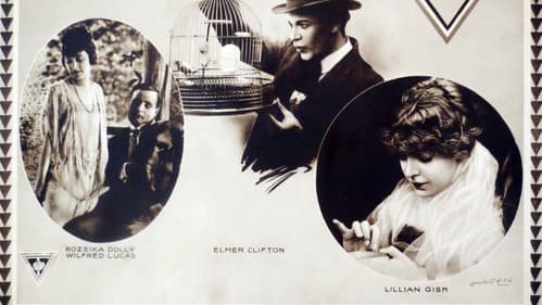 The Lily and the Rose Bild 1